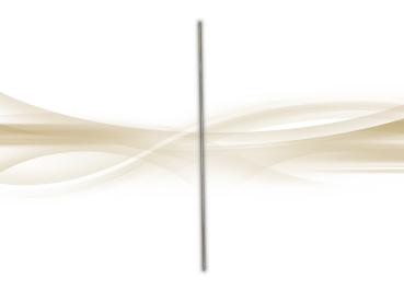 Sondierstange Penetograph 80 cm