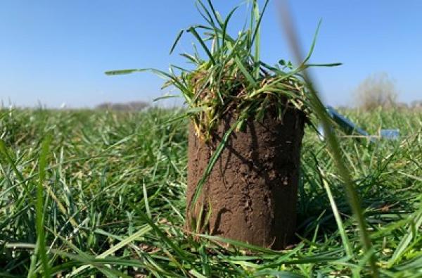 Grass plot sampler Ø 23 mm