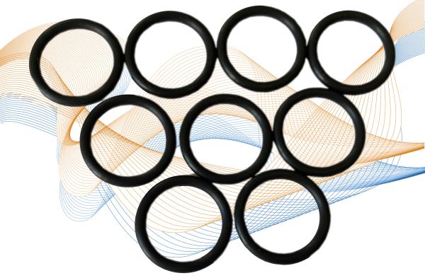 O-Ring Viton