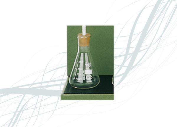 Erlenmeyer bottle