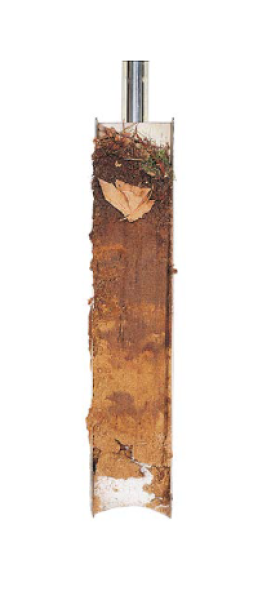 Profile sampler