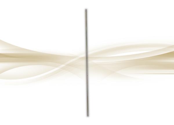 Sondierstange Penetograph 80 cm